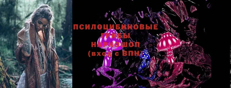 Галлюциногенные грибы Magic Shrooms  Мосальск 